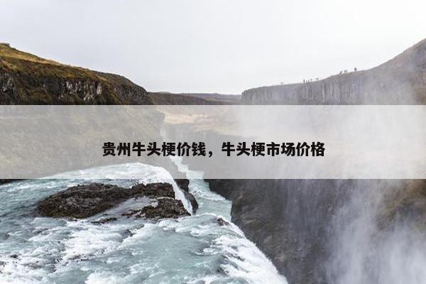 贵州牛头梗价钱，牛头梗市场价格