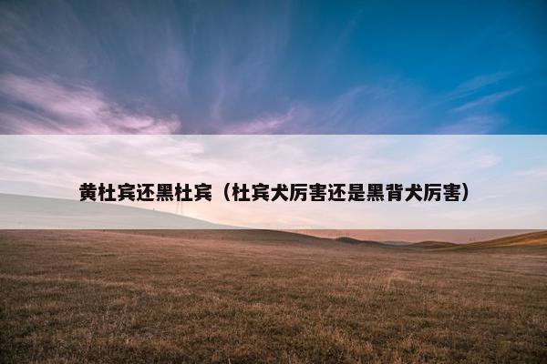 黄杜宾还黑杜宾（杜宾犬厉害还是黑背犬厉害）