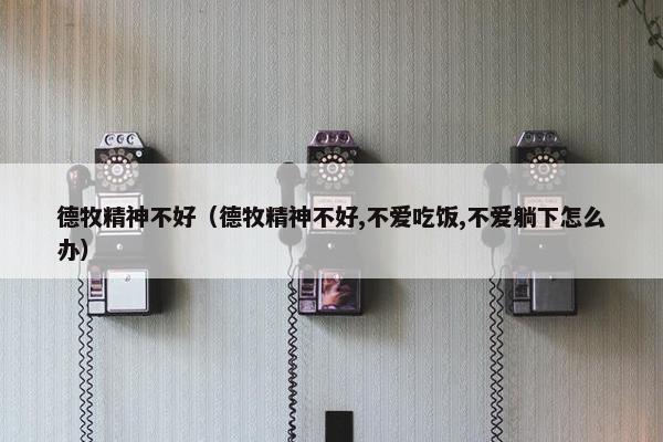德牧精神不好（德牧精神不好,不爱吃饭,不爱躺下怎么办）