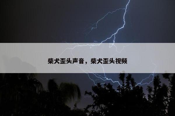 柴犬歪头声音，柴犬歪头视频