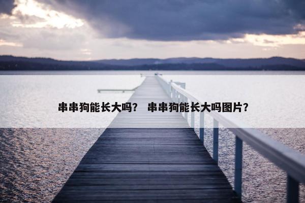 串串狗能长大吗？ 串串狗能长大吗图片？
