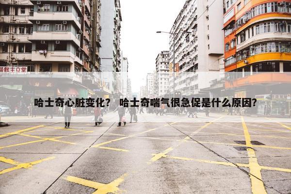 哈士奇心脏变化？ 哈士奇喘气很急促是什么原因？