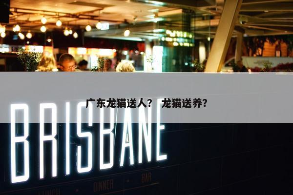 广东龙猫送人？ 龙猫送养？