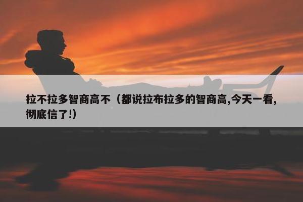 拉不拉多智商高不（都说拉布拉多的智商高,今天一看,彻底信了!）