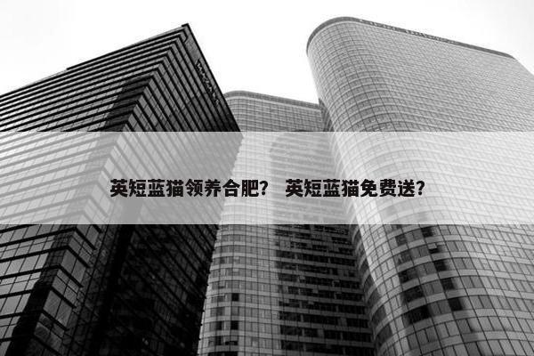 英短蓝猫领养合肥？ 英短蓝猫免费送？