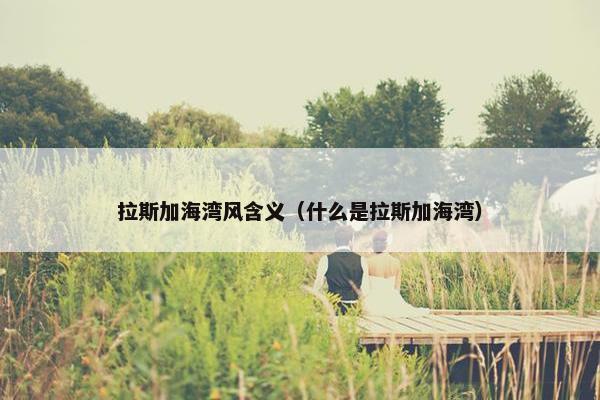 拉斯加海湾风含义（什么是拉斯加海湾）