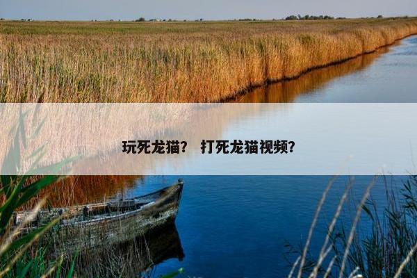 玩死龙猫？ 打死龙猫视频？
