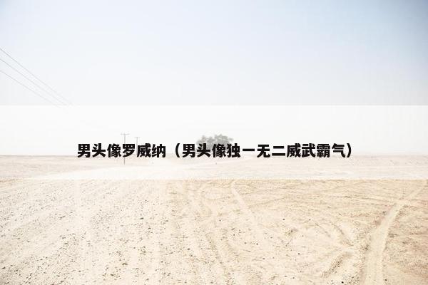 男头像罗威纳（男头像独一无二威武霸气）