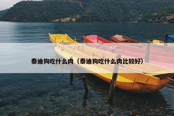 泰迪狗吃什么肉（泰迪狗吃什么肉比较好）