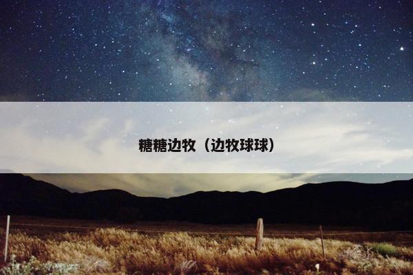 糖糖边牧（边牧球球）