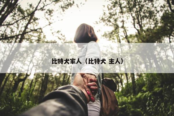 比特犬家人（比特犬 主人）