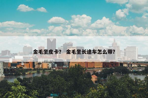 金毛坐皮卡？ 金毛坐长途车怎么带？