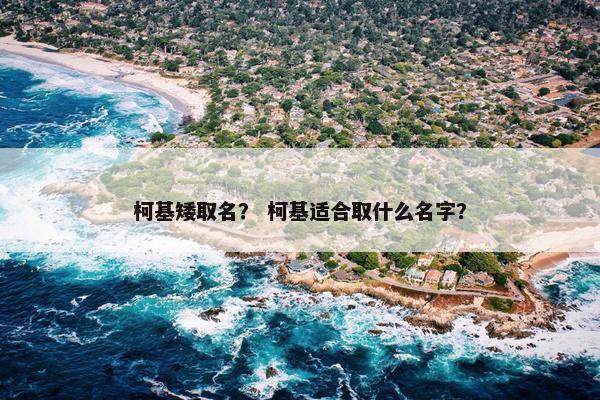 柯基矮取名？ 柯基适合取什么名字？