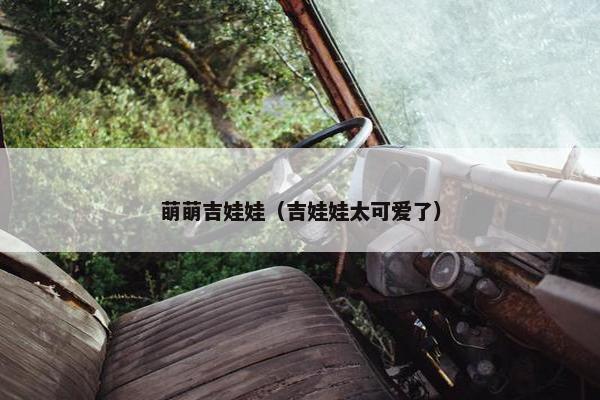 萌萌吉娃娃（吉娃娃太可爱了）