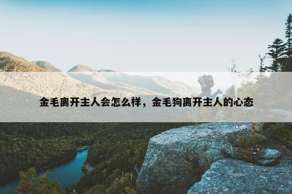 金毛离开主人会怎么样，金毛狗离开主人的心态