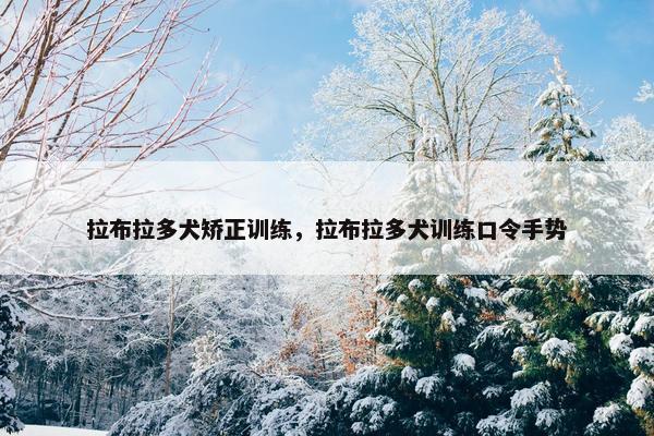 拉布拉多犬矫正训练，拉布拉多犬训练口令手势
