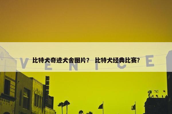 比特犬奇迹犬舍图片？ 比特犬经典比赛？