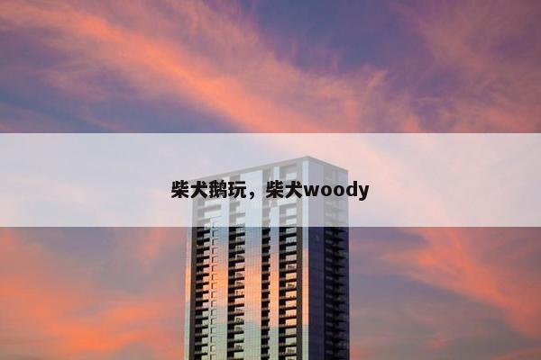 柴犬鹅玩，柴犬woody