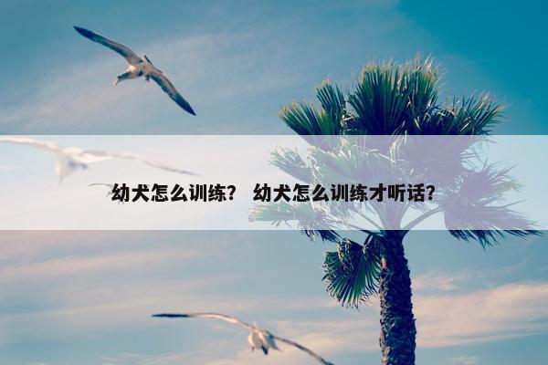 幼犬怎么训练？ 幼犬怎么训练才听话？