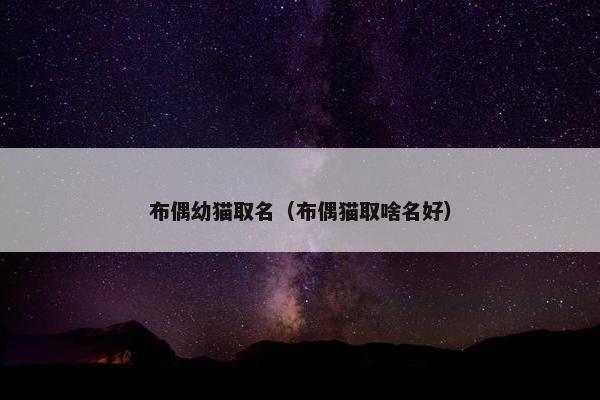 布偶幼猫取名（布偶猫取啥名好）