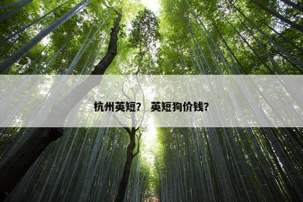 杭州英短？ 英短狗价钱？