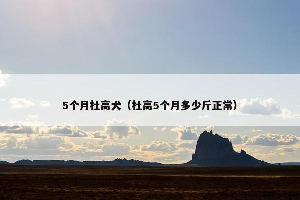 5个月杜高犬（杜高5个月多少斤正常）