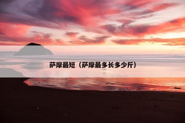 萨摩最短（萨摩最多长多少斤）