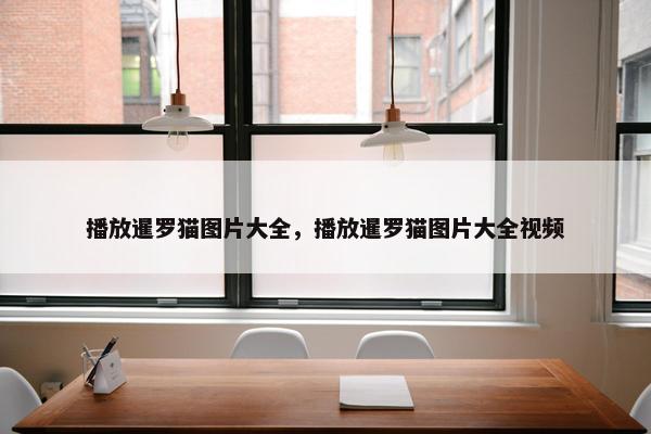 播放暹罗猫图片大全，播放暹罗猫图片大全视频