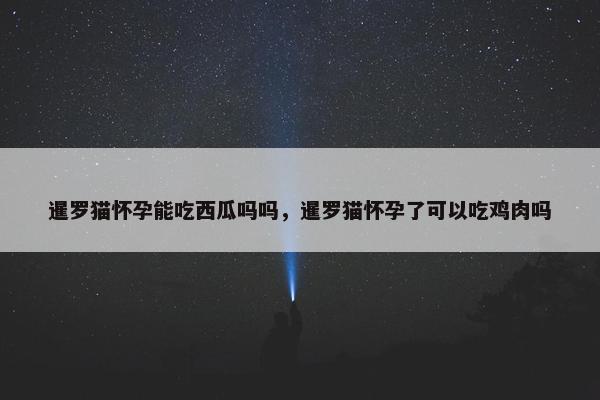 暹罗猫怀孕能吃西瓜吗吗，暹罗猫怀孕了可以吃鸡肉吗