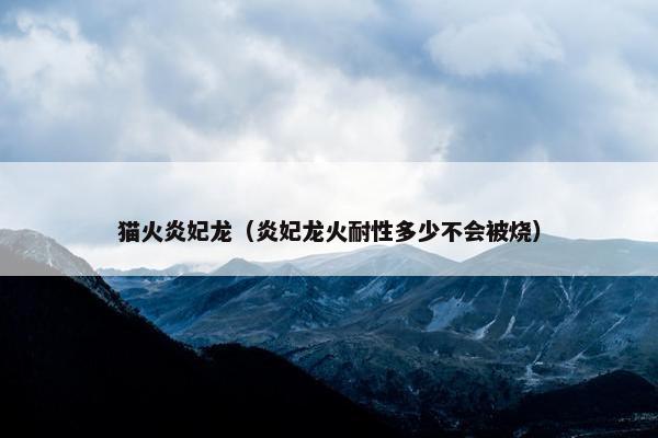 猫火炎妃龙（炎妃龙火耐性多少不会被烧）