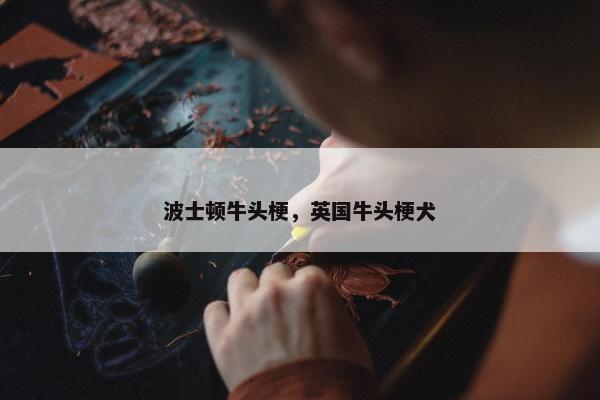 波士顿牛头梗，英国牛头梗犬