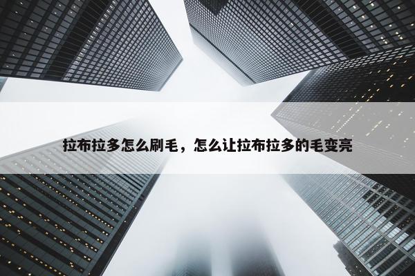 拉布拉多怎么刷毛，怎么让拉布拉多的毛变亮