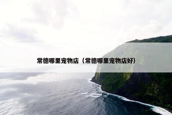 常德哪里宠物店（常德哪里宠物店好）