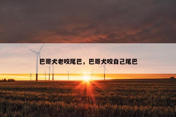 巴哥犬老咬尾巴，巴哥犬咬自己尾巴