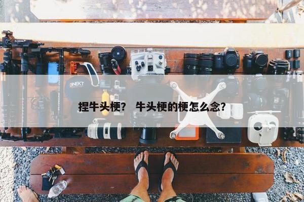 捏牛头梗？ 牛头梗的梗怎么念？