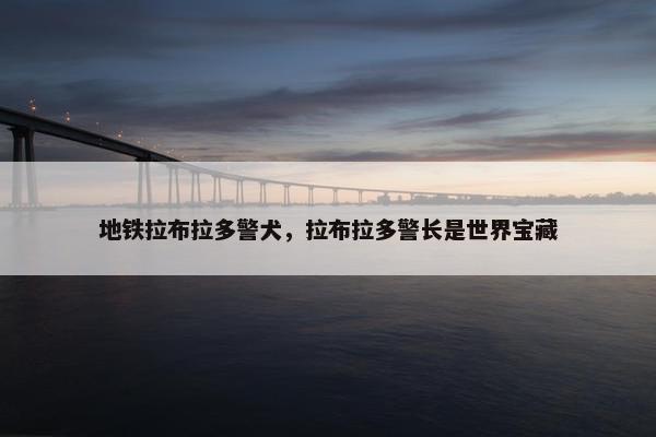地铁拉布拉多警犬，拉布拉多警长是世界宝藏