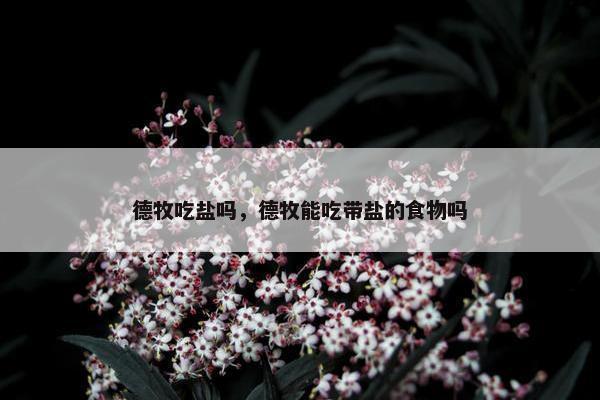 德牧吃盐吗，德牧能吃带盐的食物吗