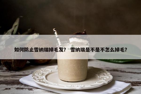 如何防止雪纳瑞掉毛发？ 雪纳瑞是不是不怎么掉毛？