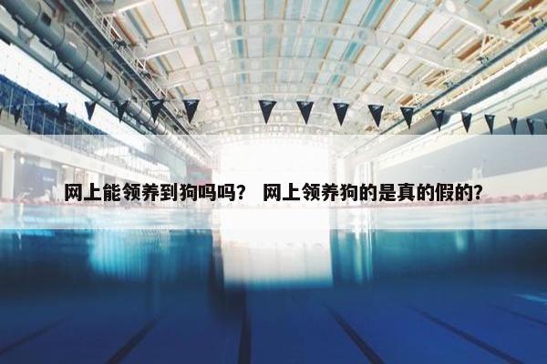 网上能领养到狗吗吗？ 网上领养狗的是真的假的？
