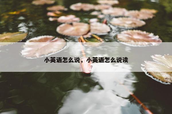 小英语怎么说，小英语怎么说读
