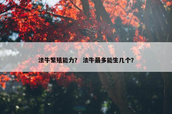 法牛繁殖能力？ 法牛最多能生几个？