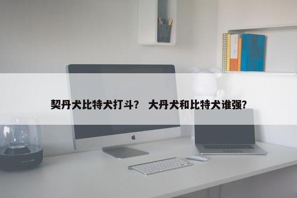 契丹犬比特犬打斗？ 大丹犬和比特犬谁强？