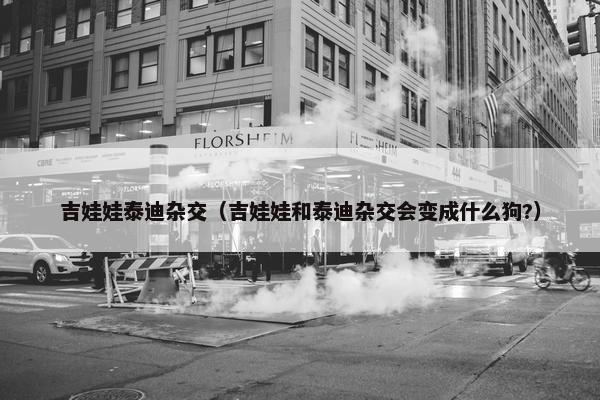 吉娃娃泰迪杂交（吉娃娃和泰迪杂交会变成什么狗?）