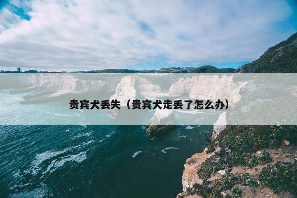 贵宾犬丢失（贵宾犬走丢了怎么办）