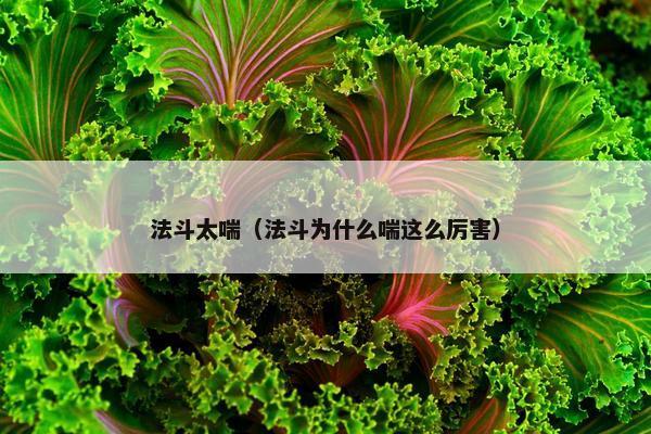 法斗太喘（法斗为什么喘这么厉害）