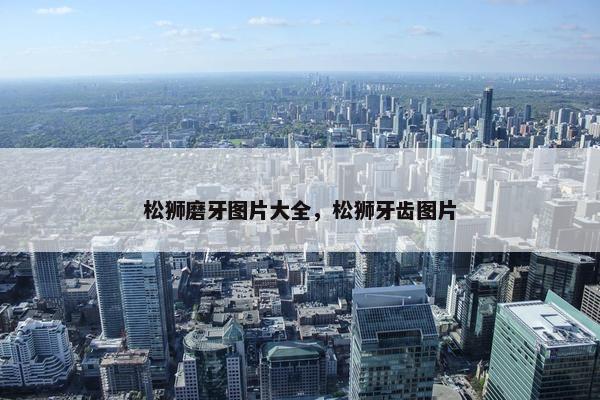 松狮磨牙图片大全，松狮牙齿图片