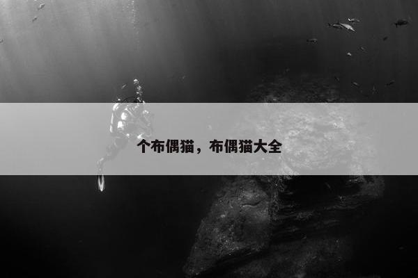 个布偶猫，布偶猫大全