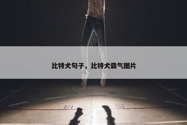 比特犬句子，比特犬霸气图片