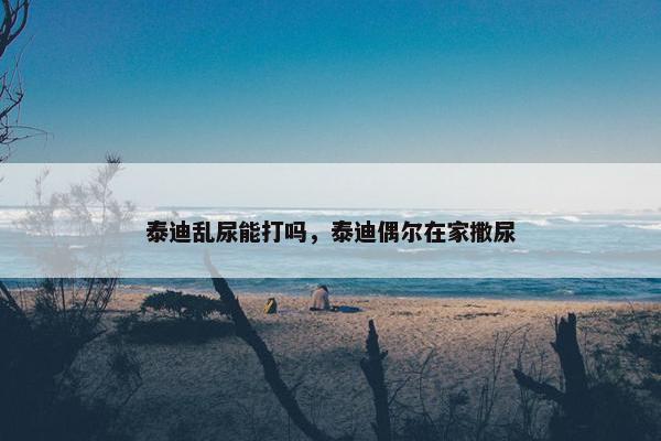泰迪乱尿能打吗，泰迪偶尔在家撒尿