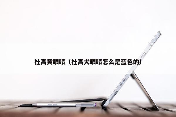 杜高黄眼睛（杜高犬眼睛怎么是蓝色的）